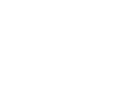 Chromalloy Logo
