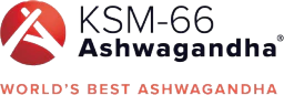 KSM logo