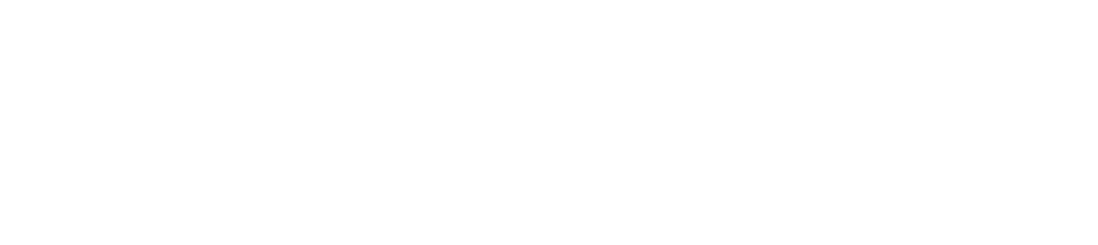 Litigation Finance International white logo