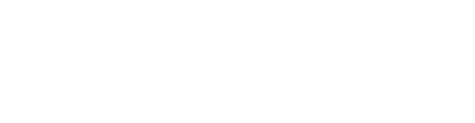 Litigation Finance white logo