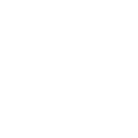 Live Demo Icon