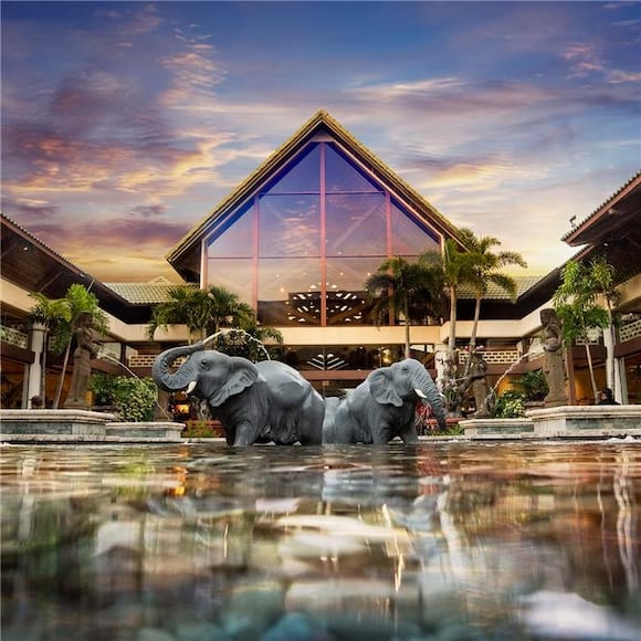 View from the water fountain of the Loews Royal Pacific Resort entrance where tropical palm trees and a sculptured mother and baby elephant appear to be wading in the clear waters to welcome guests