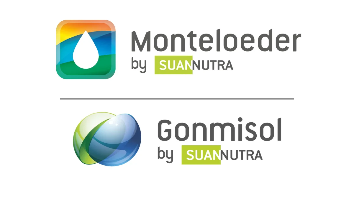 monteloeder