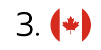 Flag logo 3