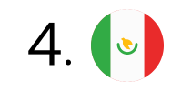 Flag logo 4
