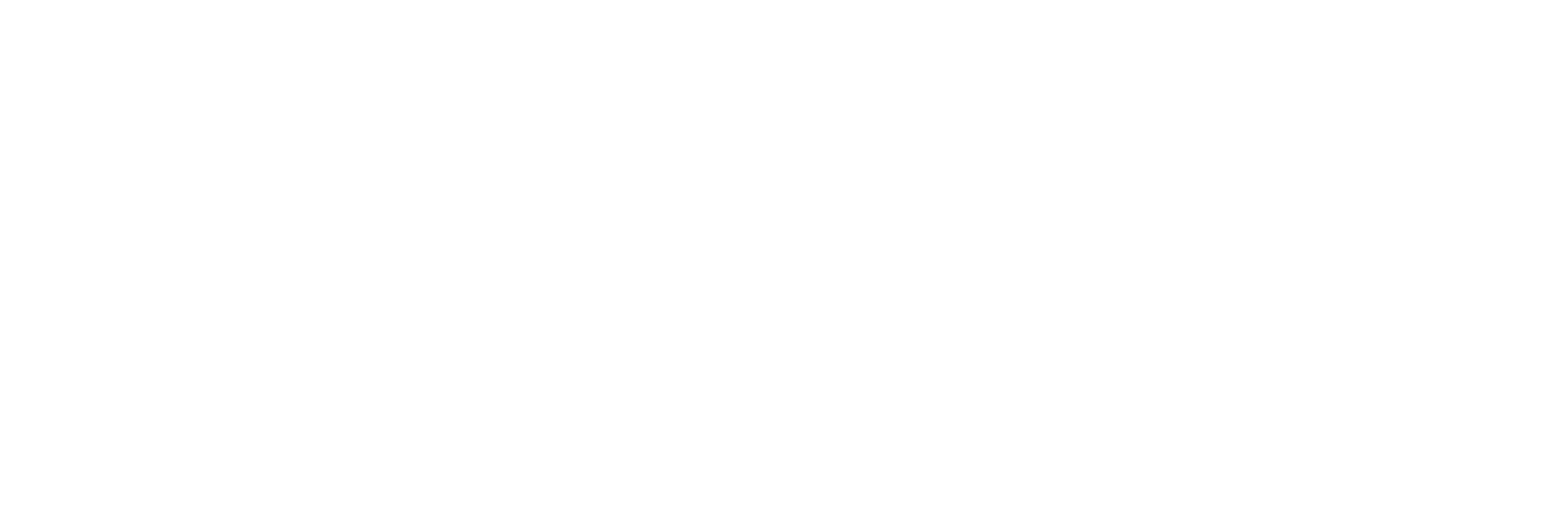 MMM Texas white logo