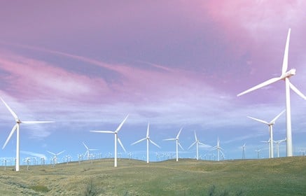 SUSTAINABILITY NOW GUIDE