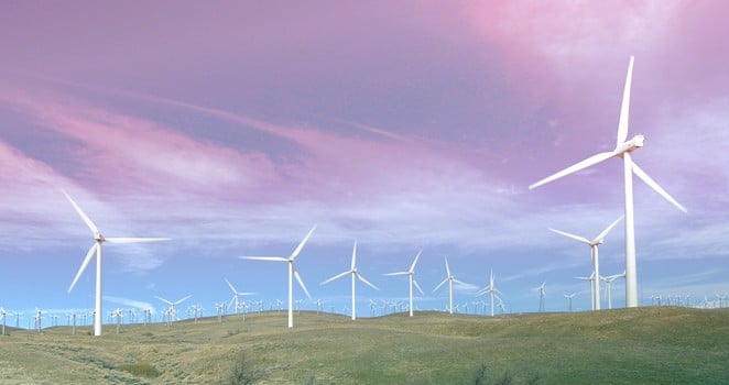 SUSTAINABILITY NOW GUIDE