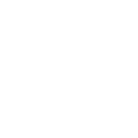 Search Icon