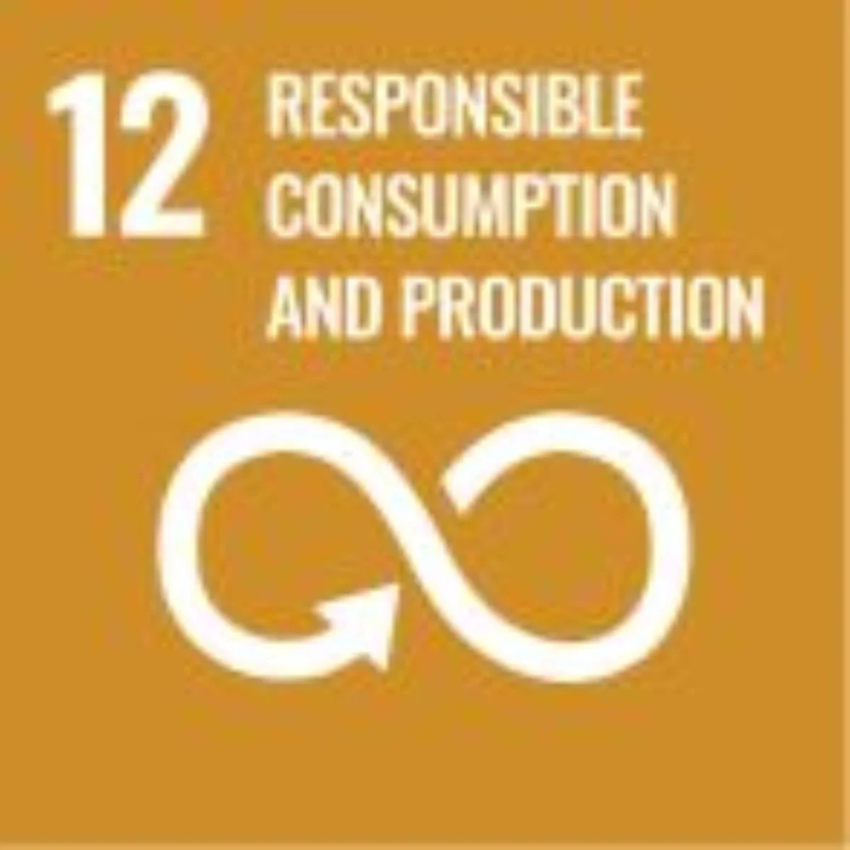 <p>Responsible Consumption &amp; Production</p>