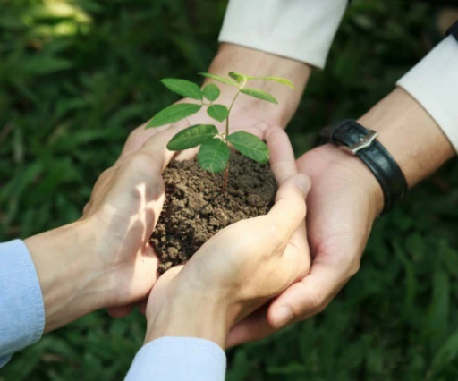 sustainable development