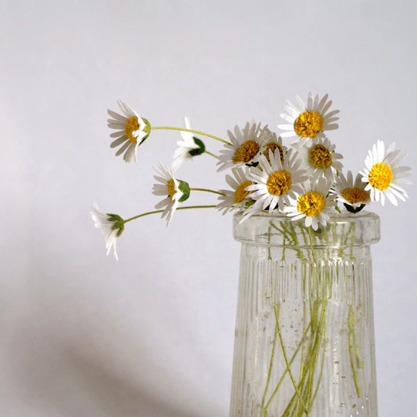 Catherine Hammerton