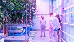Norway: No-venting in greenhouse