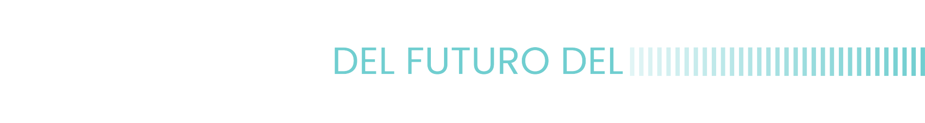 BRZ25NTX Slogan ES