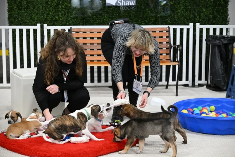 Puppy Love Lounge