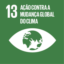 SDG_E Individual Icons