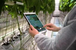 Optimizing Crop and Resource Management