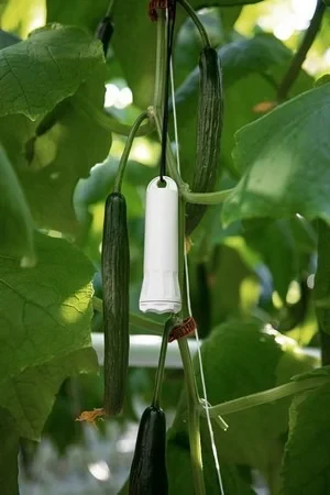 A Versatile Solution for Growers