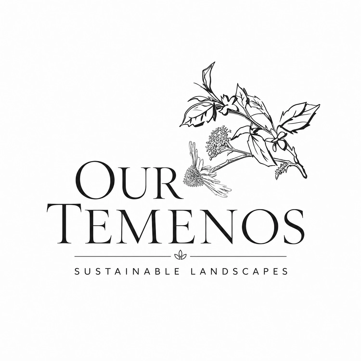 Our Tenemos