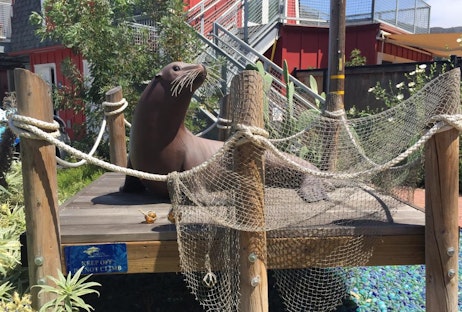Pacific Marine Mammal Center