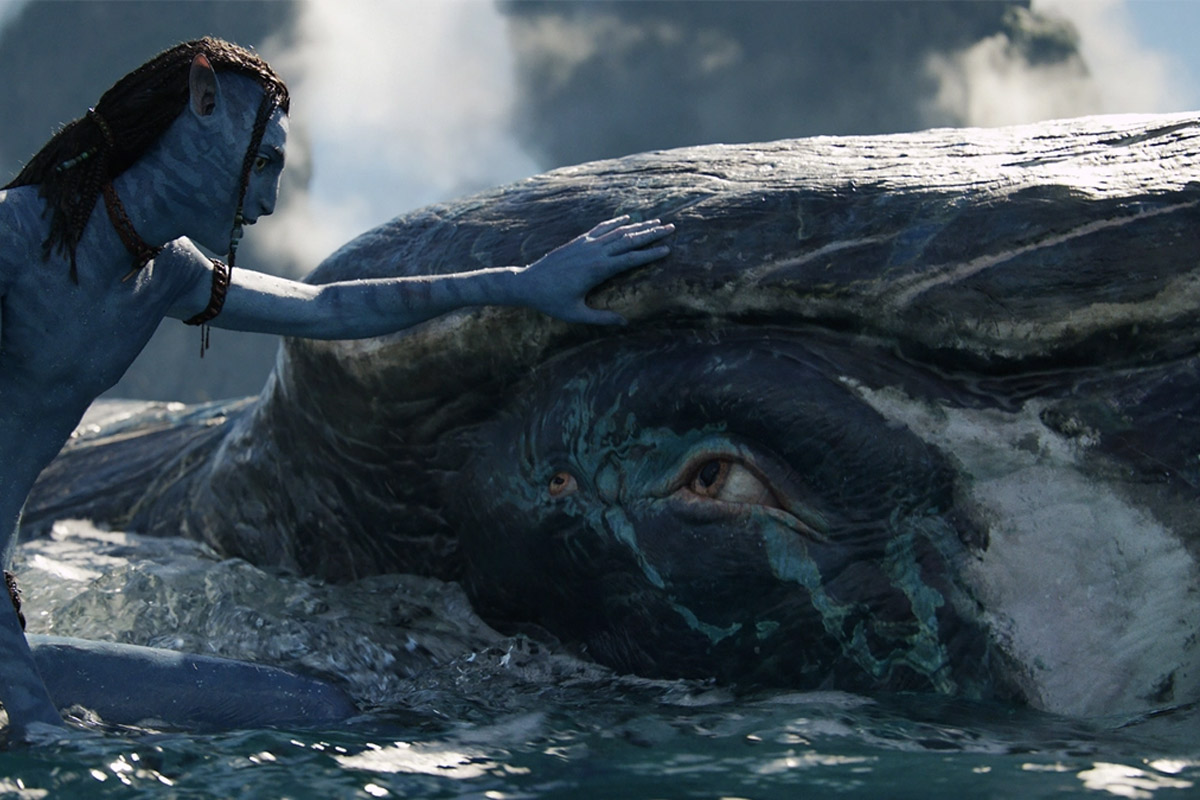 Payakan the tulkun looks at Lo'ak as they float in the water