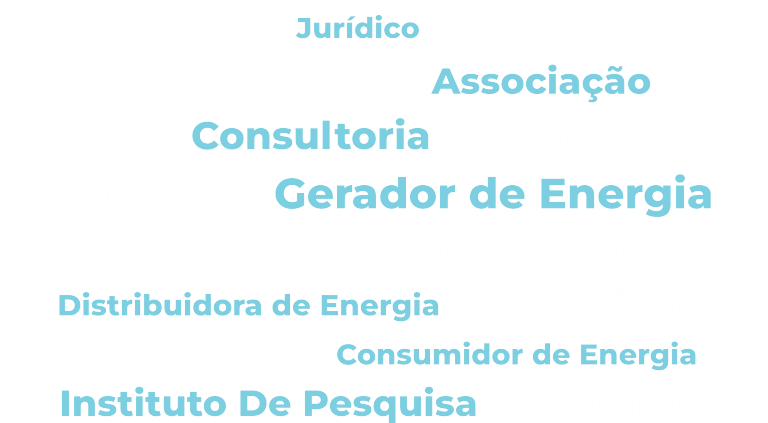 perfil do participante workshop psr/canalenergia