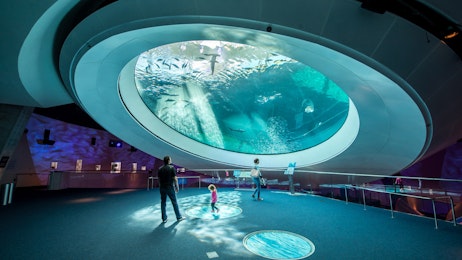 Phillip & Patricia Frost Museum of Science