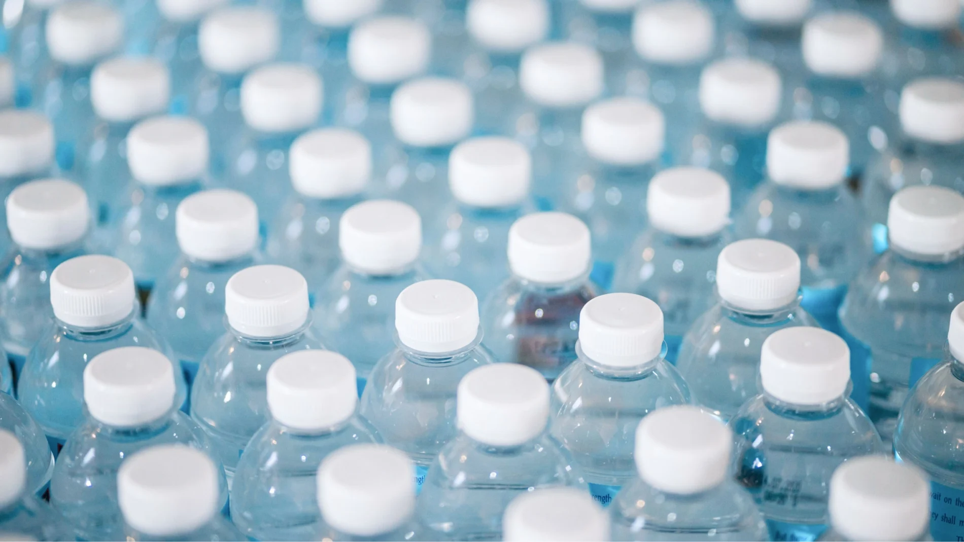 A row of plastic water bottles neatly arranged on a surface