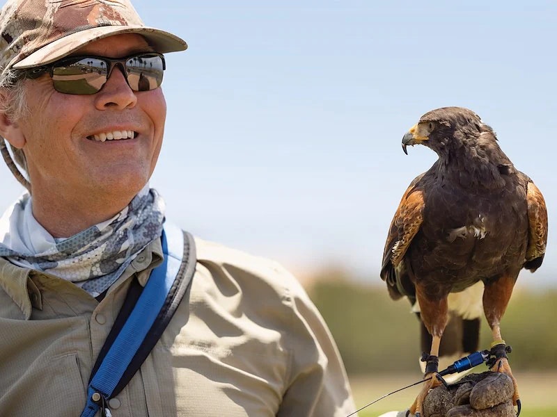 Private Falconry Experience