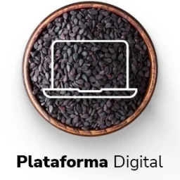 Plataforma Digital
