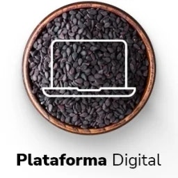 Plataforma Digital