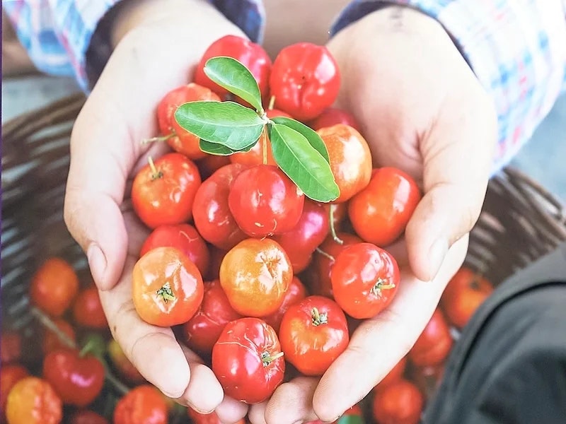 Sustainability at Hi Japan