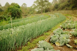 Sustainability Zone