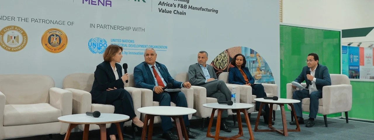 Speakers on stage at Fi Africa
