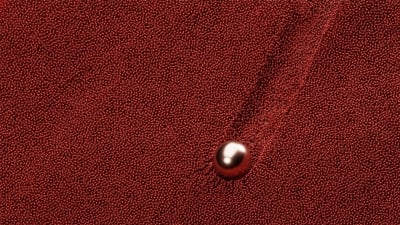 2024 Yılının Rengi: Apricot Crush