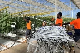 Sustainable Lighting and Pest Management
