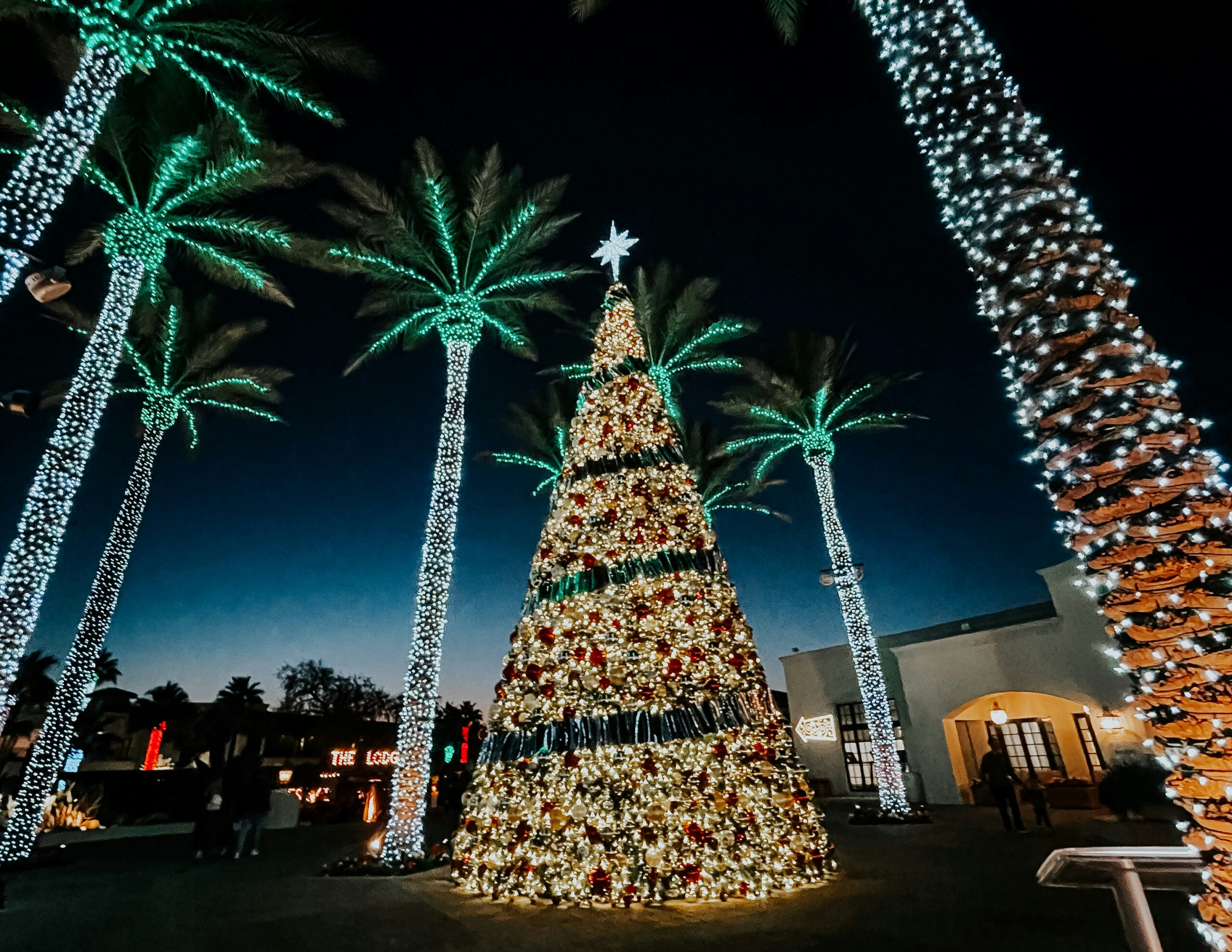 Christmas at the Princess