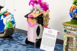 From Showgirls to Sustainability cart on display