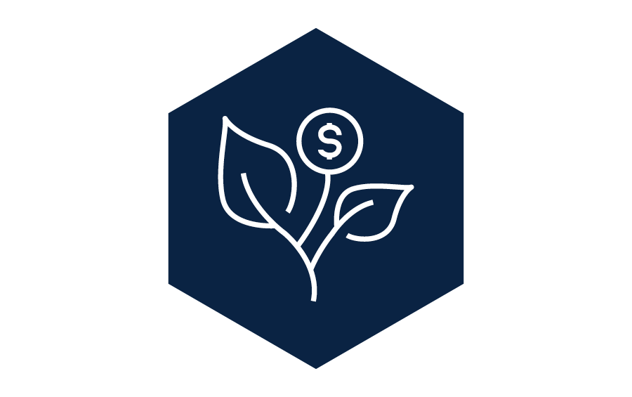 icon representing strategic value