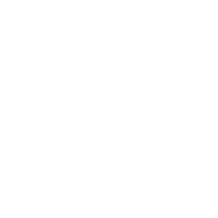 Bulb Icon
