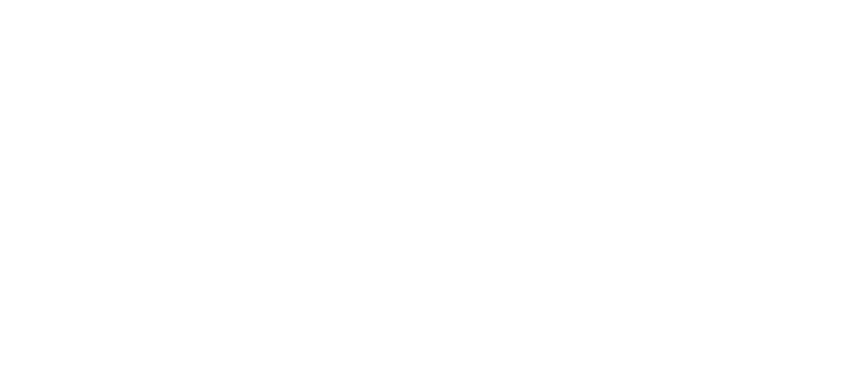 STR Winter white logo
