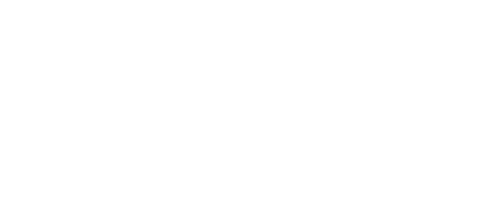 STR Winter white logo
