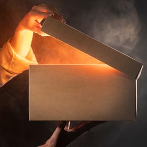 Showcase Innovations