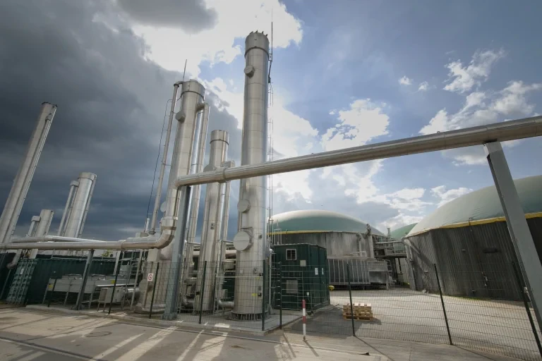 Biomassa no Brasil: Potencial e Aplicações para uma Matriz Energética Mais Limpa