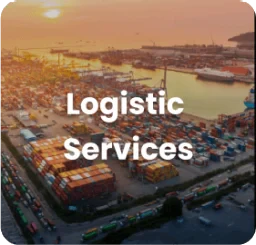 Logistic