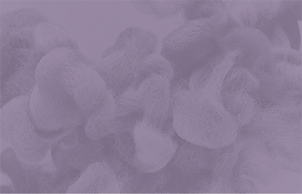 INTELLIGENCE BRIEFING