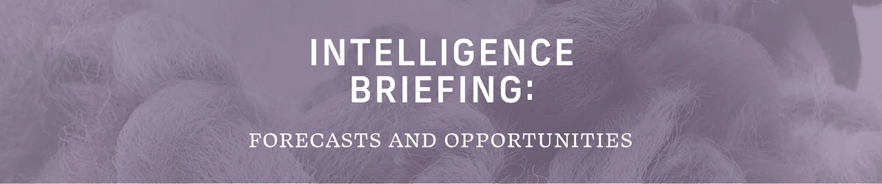 Intelligence Briefing