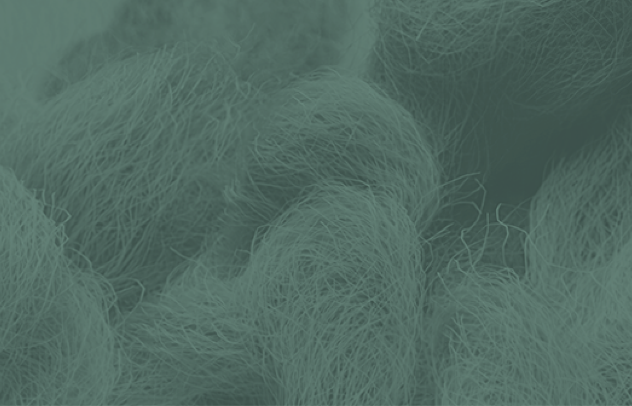 SUSTAINABLE FROM THE START