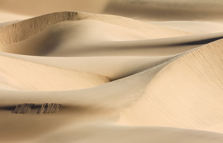 STATE OF THE INDUSTRY 2023 SOURCING REPORT