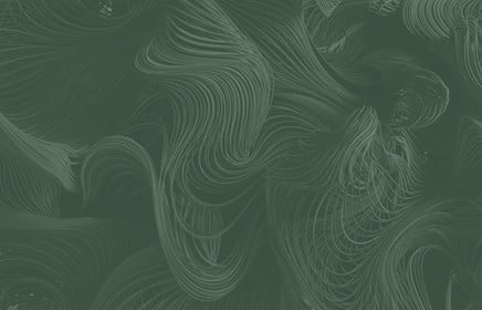 Sustainability and Policy